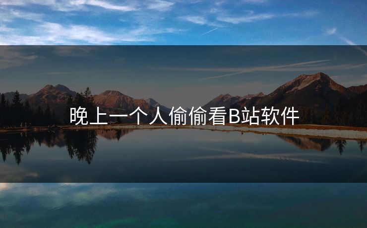 晚上一个人偷偷看B站软件